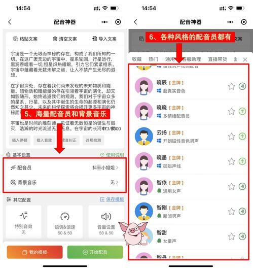 娱乐吃瓜视频配音软件,轻松打造个性趣味配音体验