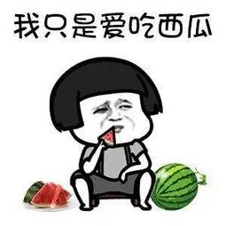 娱乐吃瓜酱很内向